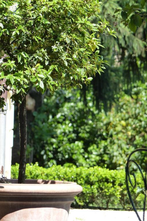 Bed and Breakfast Villino Di Porporano Parma Zewnętrze zdjęcie
